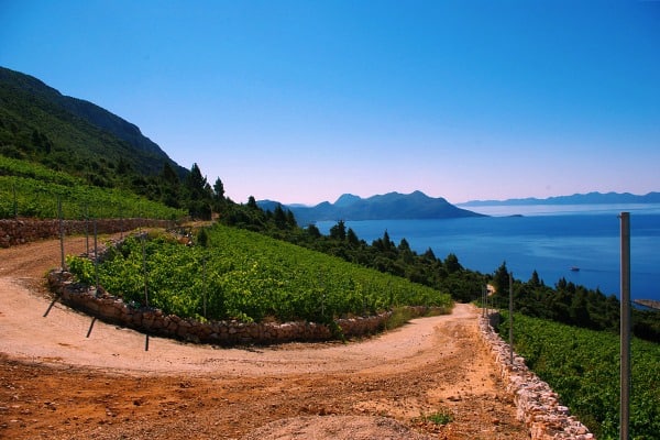 Best Day Trips from Dubrovnik: Montenegro, Mostar, Pelješac & More